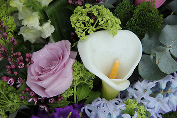 Image showing Calla lily in a blue purple arrangement