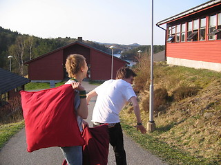 Image showing outdoor pillow fight