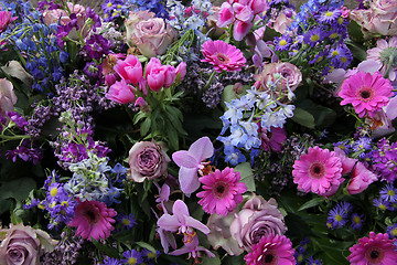 Image showing Floral arrangement in pink and blue