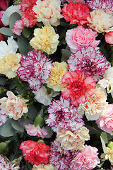 Image showing Pastel carnations