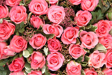 Image showing Group of Pink roses