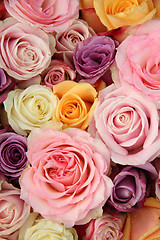 Image showing Wedding roses in pastel colors