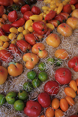 Image showing Tomatoes