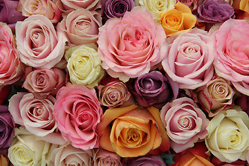 Image showing Pastel wedding roses