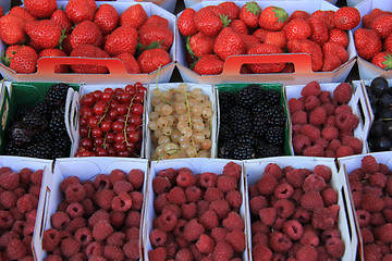 Image showing Berries in boxes