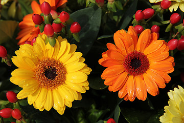 Image showing yellow and orange gerberas