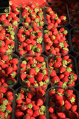 Image showing Strawberries in boxes