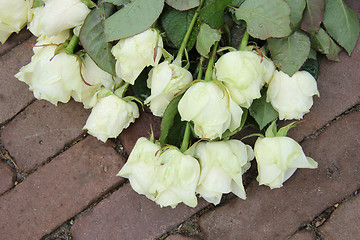 Image showing Mourning roses