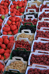 Image showing Berries in boxes