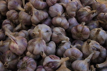 Image showing Fresh garlic at a market