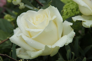 Image showing White rose in bridal bouquet