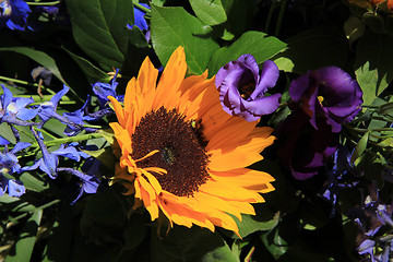 Image showing Sunflowers and purple eustoma