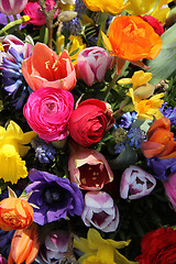 Image showing Mixed Spring Flowers