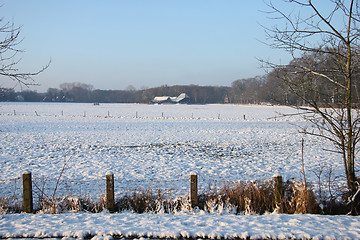 Image showing Farm in a winter forest