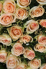 Image showing pale pink wedding roses