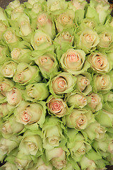 Image showing Pale pink roses in a wedding arrangement