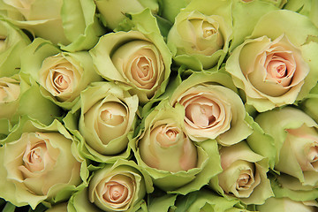 Image showing Pale pink roses in a wedding arrangement