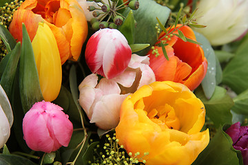 Image showing Mixed tulip arrangement