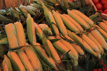 Image showing Fresh corn at a market