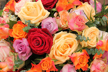 Image showing Colorful rose bouquet