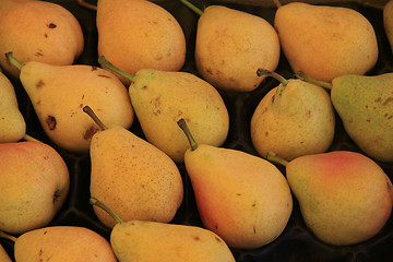 Image showing Pears