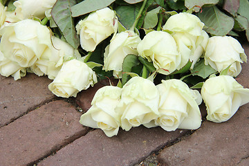 Image showing Mourning red rose