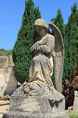 Image showing Angel statue at a French cemetary