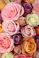 Image showing Wedding roses in pastel colors