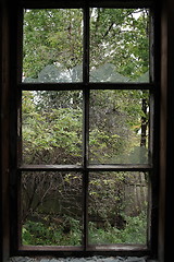 Image showing window