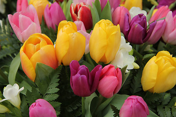 Image showing Mixed tulip bouquet