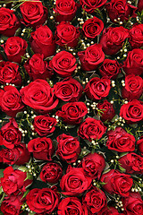 Image showing Red roses and small white berries