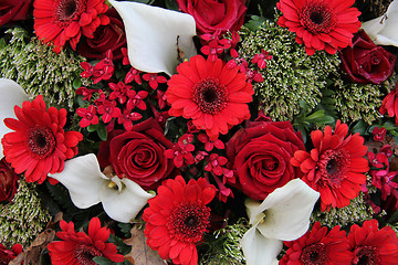 Image showing Floral arrangement in red and white