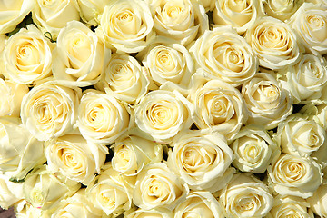 Image showing Group of white roses in floral wedding decorations