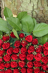 Image showing Red roses and small white berries