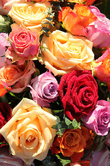 Image showing Colorful rose bouquet