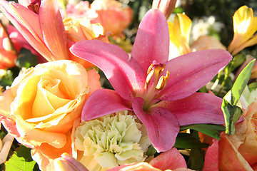 Image showing Big pink tigerlily