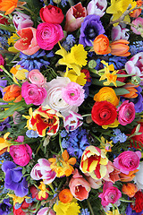 Image showing Colorful spring flowers