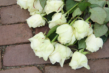 Image showing Mourning red rose