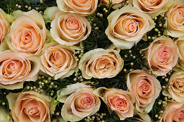 Image showing pale pink wedding roses