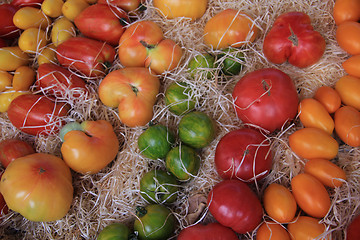 Image showing Tomatoes