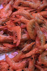 Image showing Prawns