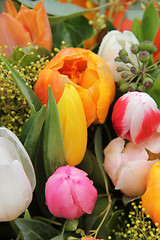 Image showing Mixed tulip arrangement