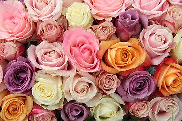 Image showing Mixed pastel roses