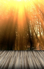 Image showing beautiful sunrise over the winter forest