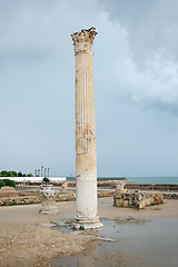 Image showing Antonine Baths roman column