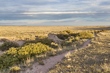 Image showing trail over prairie