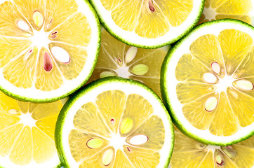 Image showing Citrus Background