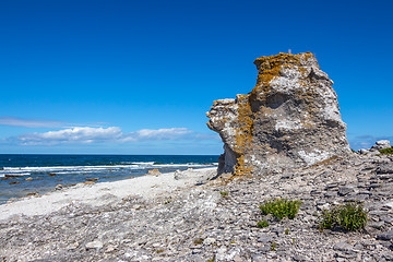 Image showing Cliff on the Baltic Sea coastline in Sweden