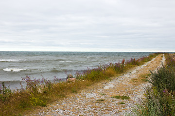 Image showing Road along the seaside