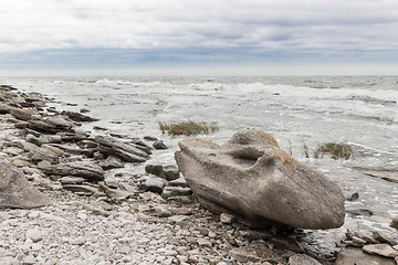 Image showing Rocky coastline of Gotland, Sweden